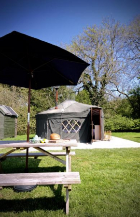 Beech Yurt